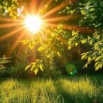 Importância da vitamina D para a saúde óssea: tudo que você precisa saber